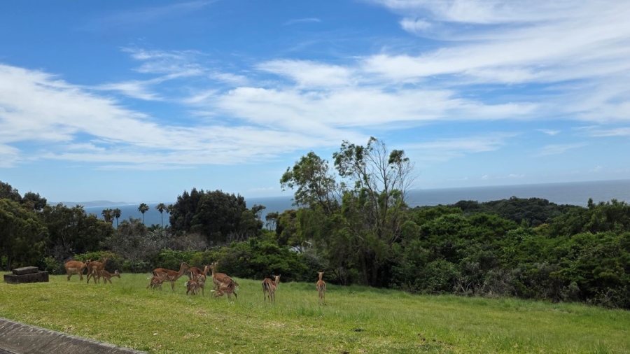 0 Bedroom Property for Sale in Cintsa West Eastern Cape